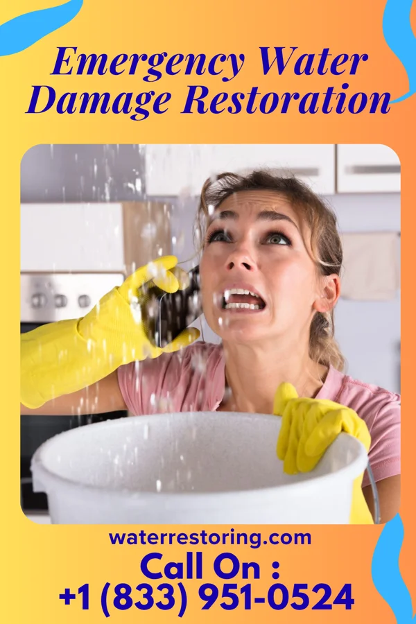 Emergency Water Damage Restoration in Irwin, SC