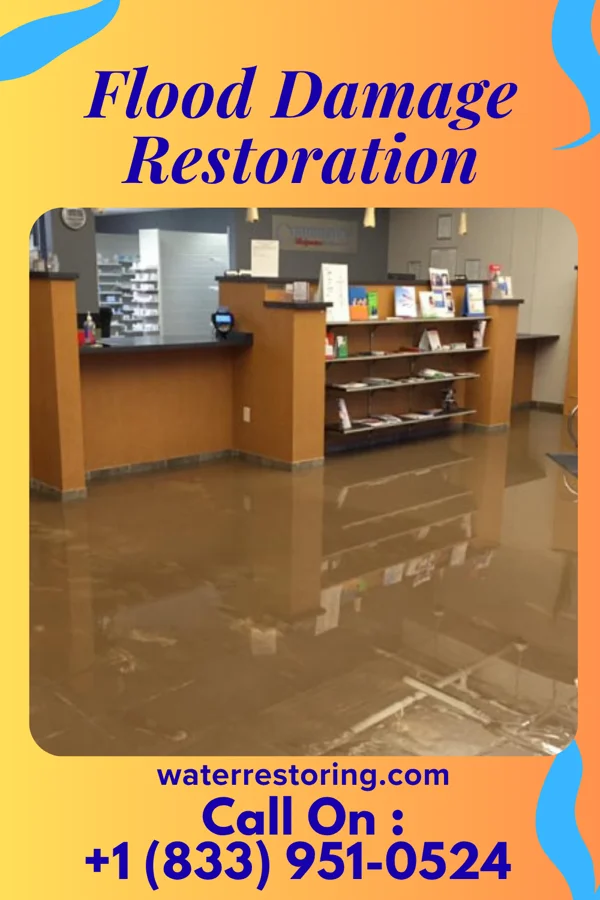Flood Damage Restoration in Irwin, SC